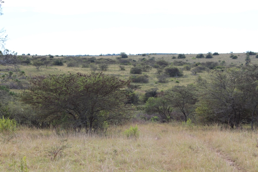 1 Bedroom Property for Sale in Bathurst Rural Eastern Cape
